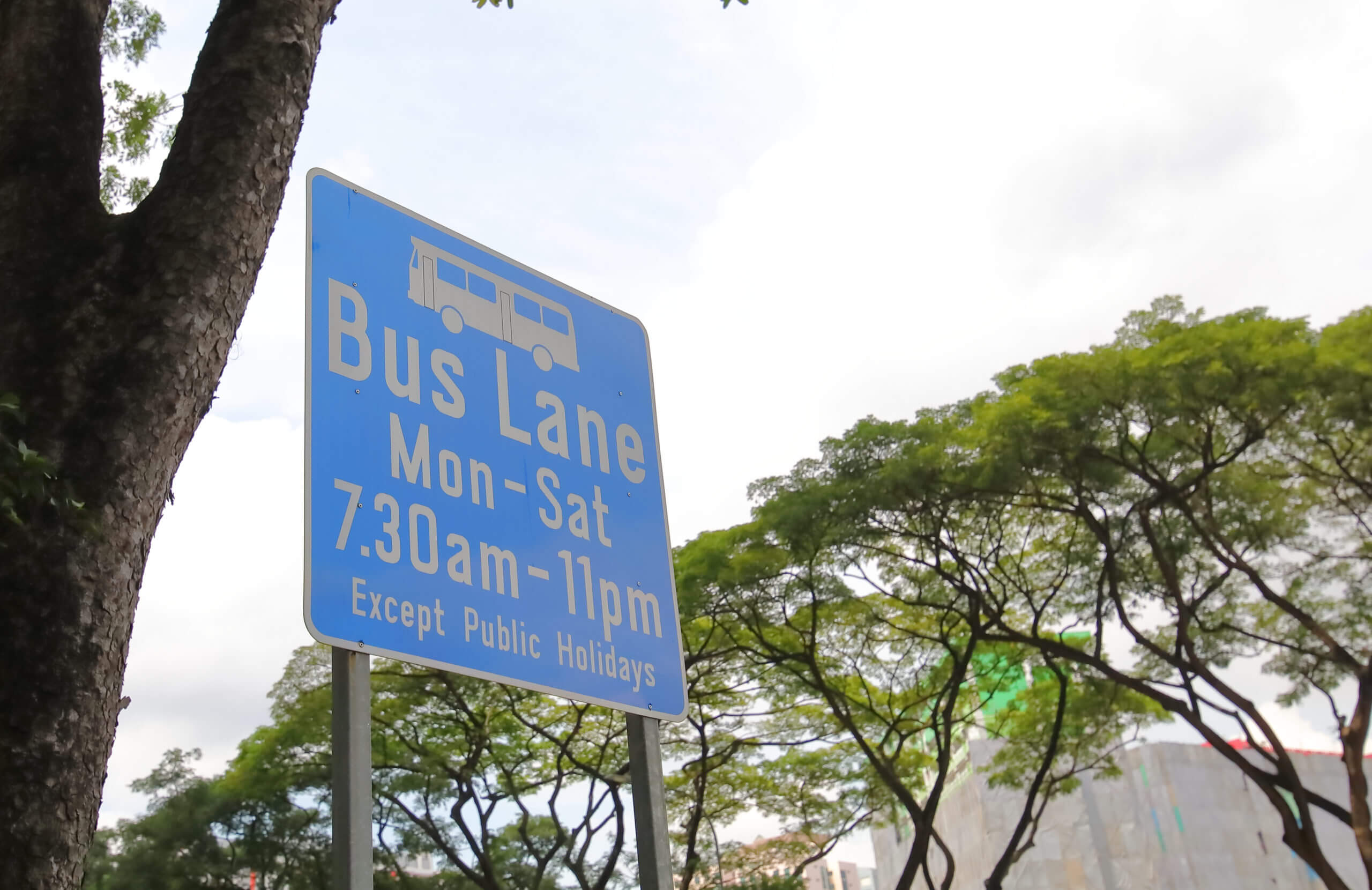 BUS LANE TIMINGS: The definitive guide