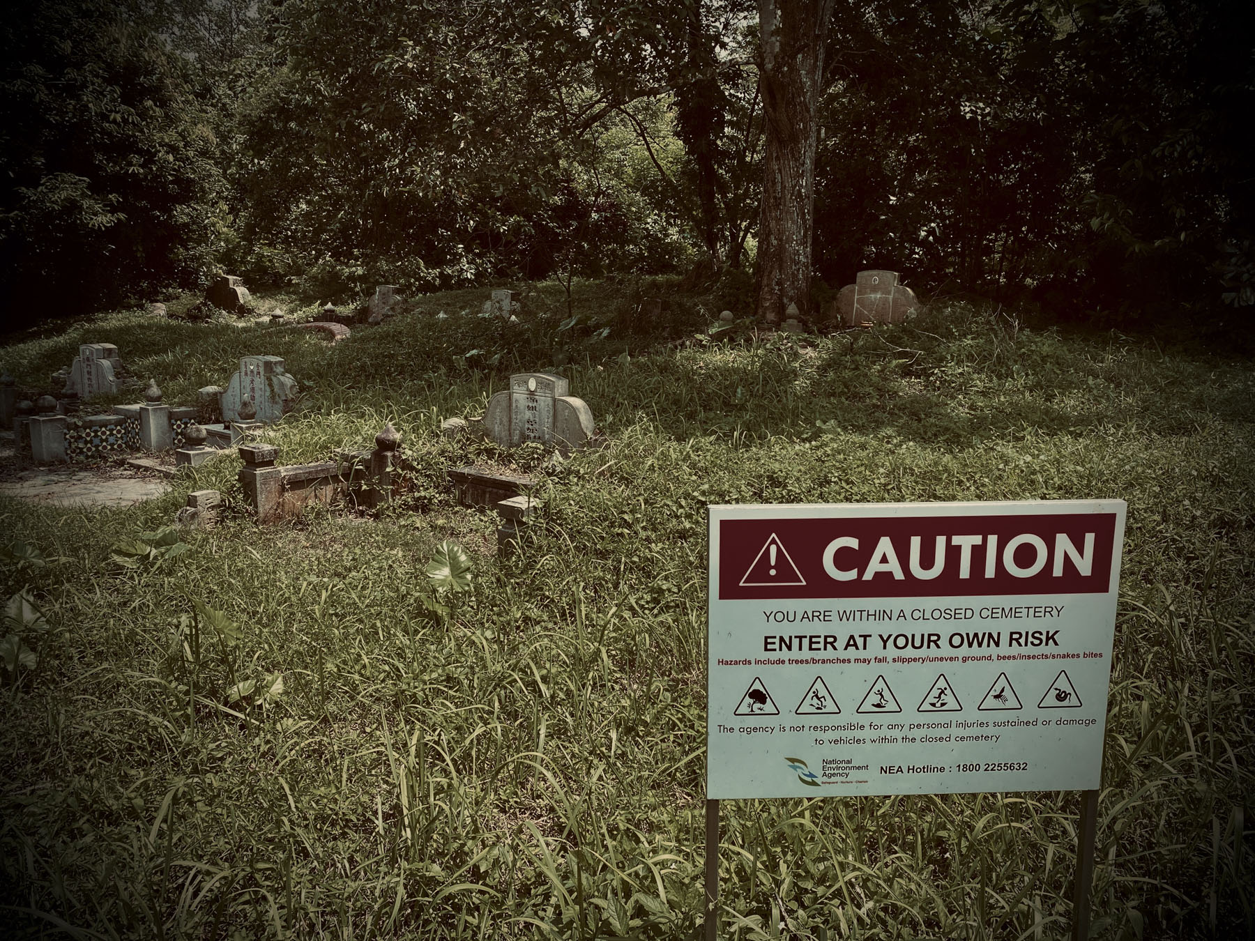 SPOOKY STREETS: The most haunted roads in Singapore