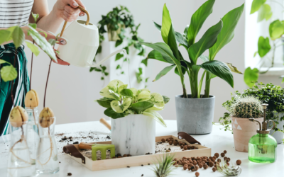 JUST ANOTHER PHASE: 6 essential skills you’ll need to get through Phase 2 (again)