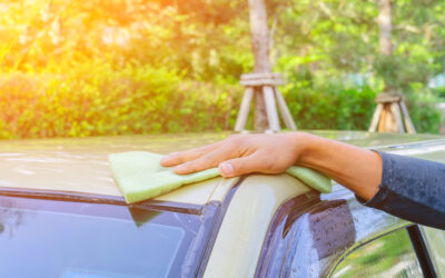 SQUEAKY CLEAN: 3 eco-friendly car cleaning products
