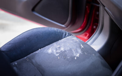 AUTOAPP RESCUE MISSION: Never cry over spilled milk, vomit, or musky smells again!