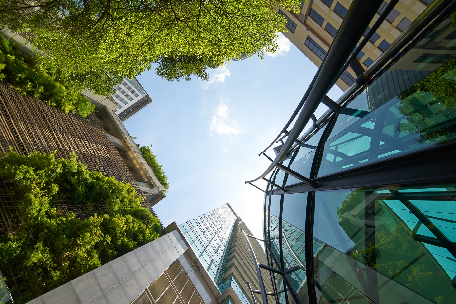 Bentley Environmental Foundation Is One Year Old