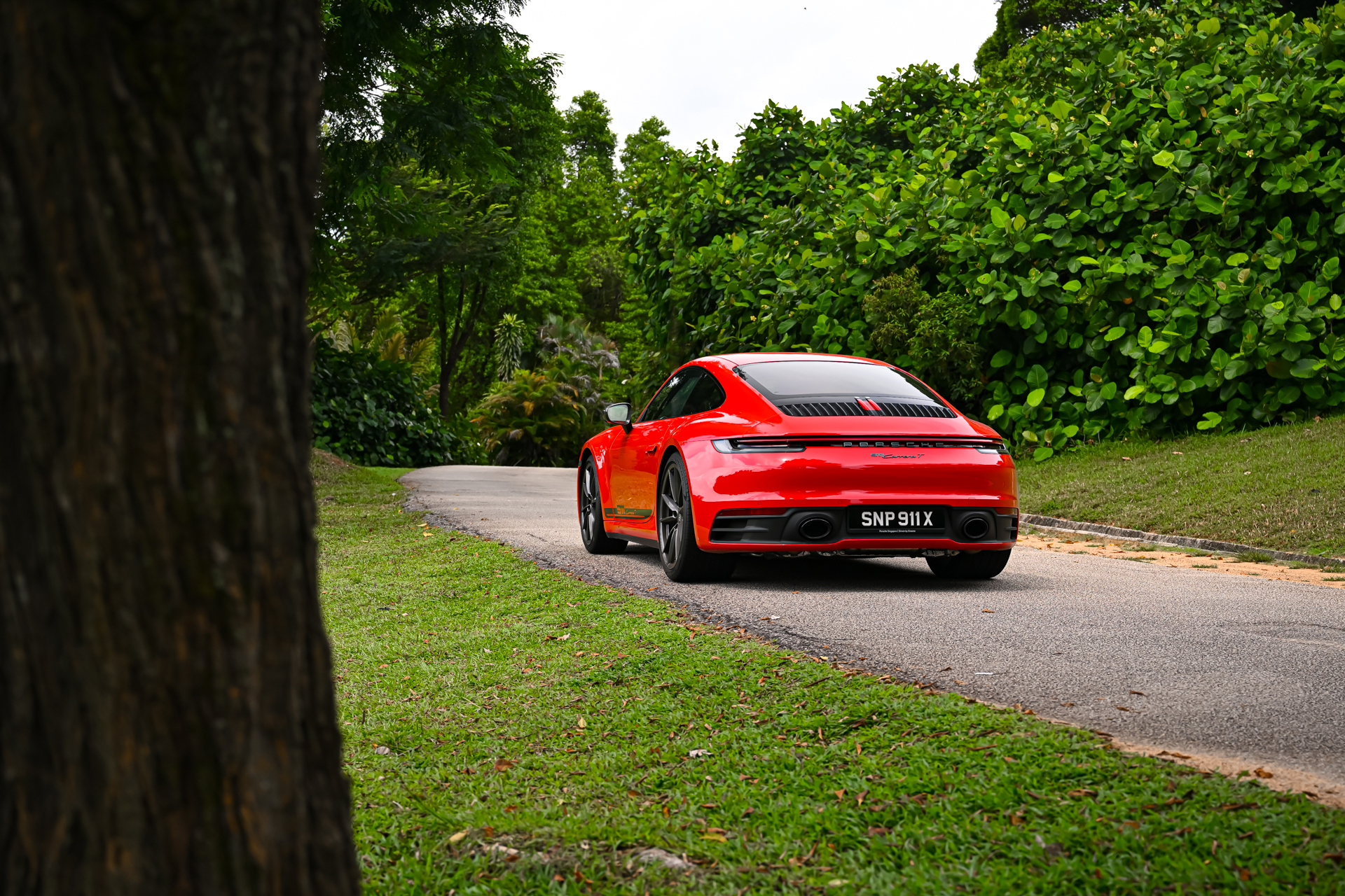 Porsche 911 Carrera T