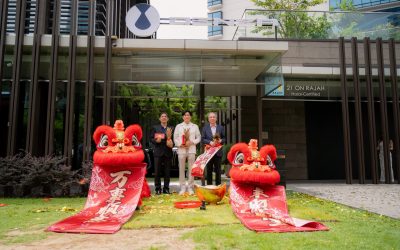 Denza Blooms at Zhongshan Park