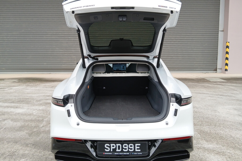 Dongfeng 007 Performance boot
