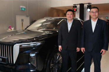 Wang Yao and Christer Tan